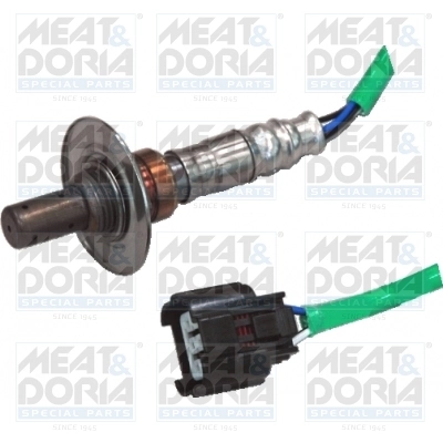 Oxygen Sensor